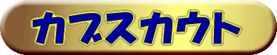 �J�u�X�J�E�g 