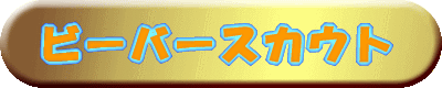 �r�[�o�[�X�J�E�g 