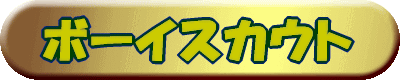 �{�[�C�X�J�E�g 