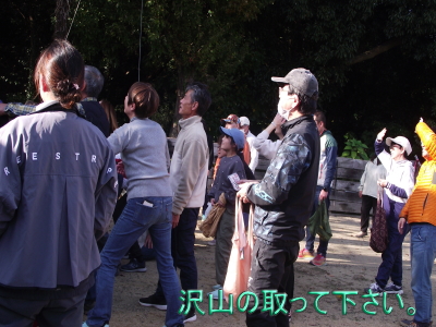 沢山撮ってください