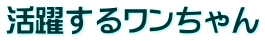 活躍するワンちゃん