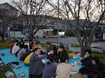 hanami1