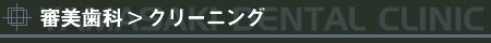 �R�����ȁ��N���[�j���O