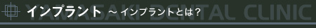 �C���v�����g